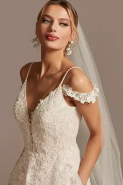 Beaded Applique Wedding Dress With Swag Sleeves -Kelly Shop CWG875 IVYSTONE OLEG PROD4 050