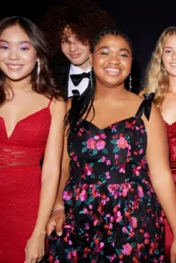 Floral Embroidered Sweetheart A-Line -Kelly Shop D24NY22627 PDP Crop JAN19 1920x2880