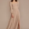 Long Sleeve Chiffon Bridesmaid Dress
