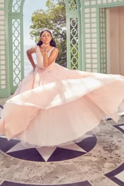 Fairytale Ballgown With Embellished Lace Applique 7 Fairytale Ballgown With Embellished Lace Applique -Kelly Shop FR2103 PDP Crop JUNE21 1920x2880