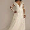 Illusion V-Neck Long Sleeve Lace Wedding Gown