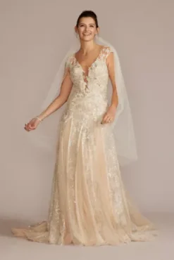 Illusion Embellished Drop Waist Wedding Gown