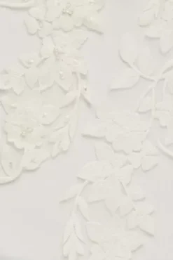 Appliqued Cap Sleeve Tulle Ball Gown Wedding Dress 7 Appliqued Cap Sleeve Tulle Ball Gown Wedding Dress -Kelly Shop WG4037 SOLIDIVORY DBSTU SWATCH PROD2 002